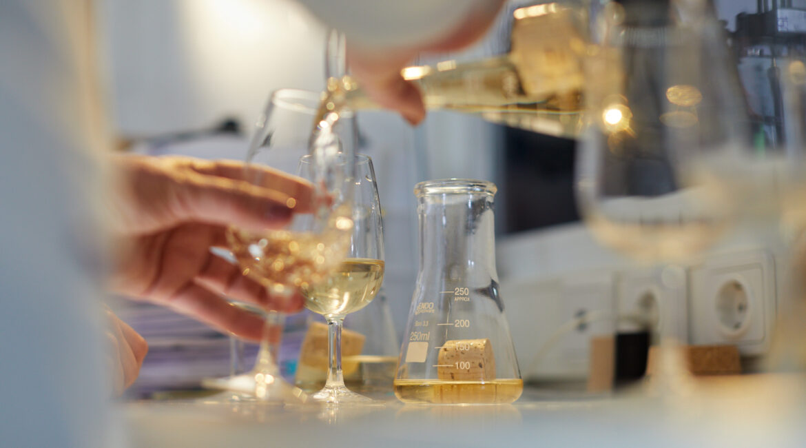 Controlo da qualidade de rolhas de cortiça no laboratório da empresa.